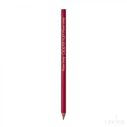 BIC® Evolution® Classic Cut Ecolutions® potlood