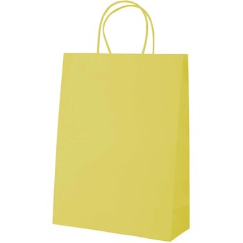 Geel - 240×310×100 mm