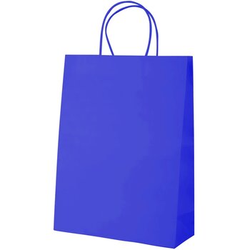 Blauw - 240×310×100 mm