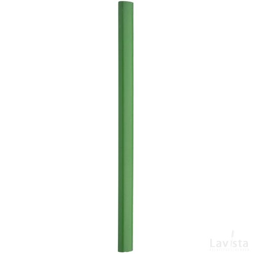 Carpenter Timmerrmanspotlood Groen