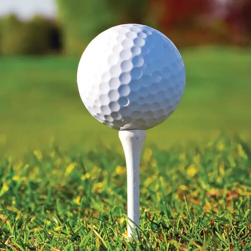 Goedkope golfbal Rood