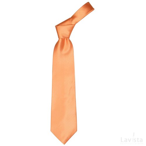 Colours Polyester Stropdas Oranje