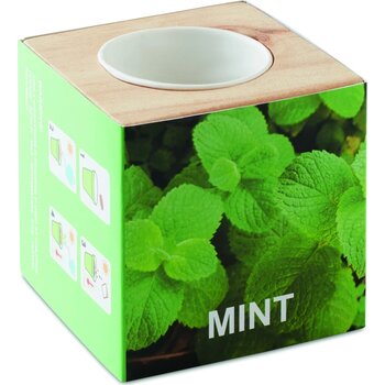 Kweekset, munt in houten pot Menta hout