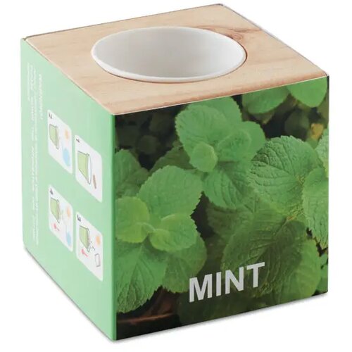 Munt kweetset in houten pot Bruin