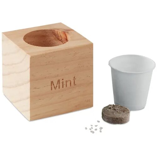 Munt kweetset in houten pot Bruin