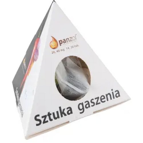 10 Pyramidetheezakjes in bedrukt pyramidedoos