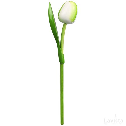 Tulip on a stem 34 cm ( big ), white green