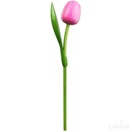 Tulip on a stem 34 cm ( big ), pink white