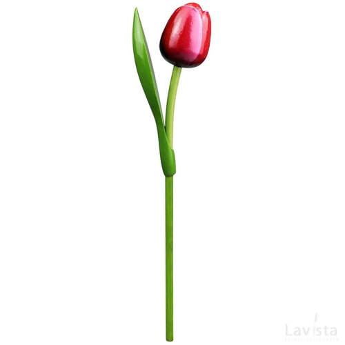 Tulip on a stem 34 cm ( big ), red white