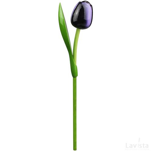 Tulip on a stem 34 cm ( big ), aubergine white