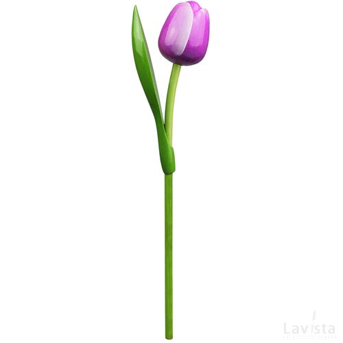 Tulip on a stem 34 cm ( big ), purple white