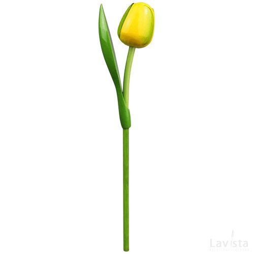Tulip on a stem 34 cm ( big ), yellow green