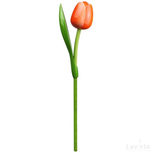 Tulip on a stem 34 cm ( big ), orange white