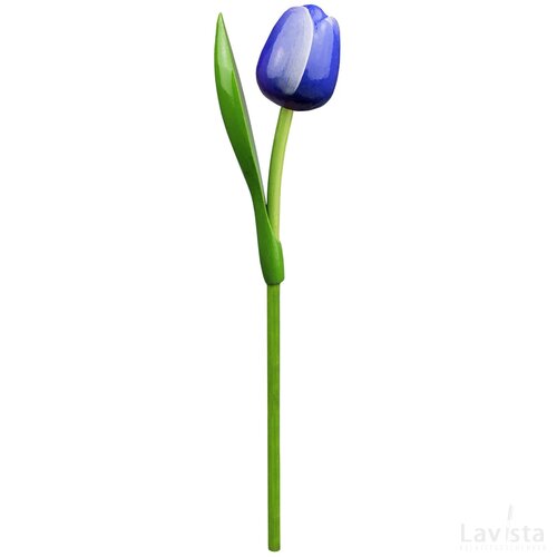 Tulip on a stem 34 cm ( big ), blue white