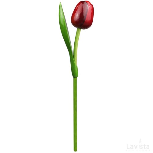 Tulip on a stem 34 cm ( big ), red aubergine