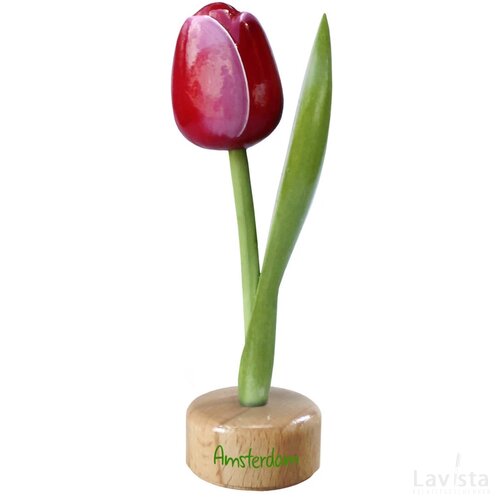 Tulip pedestal 20 cm ( big ), red white Amsterdam
