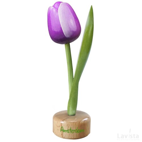 Tulip pedestal 20 cm ( big ), purple white Amsterdam
