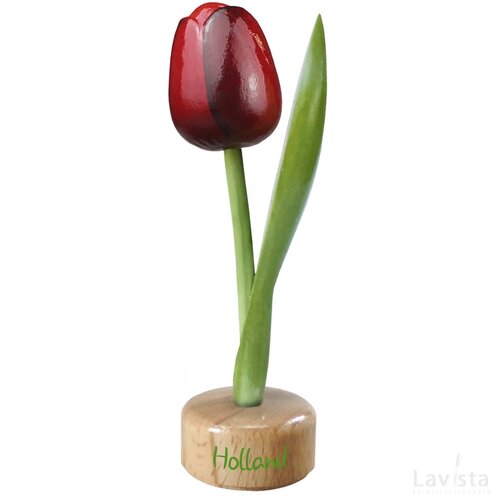 Tulip pedestal 20 cm ( big ), red aubergine Holland