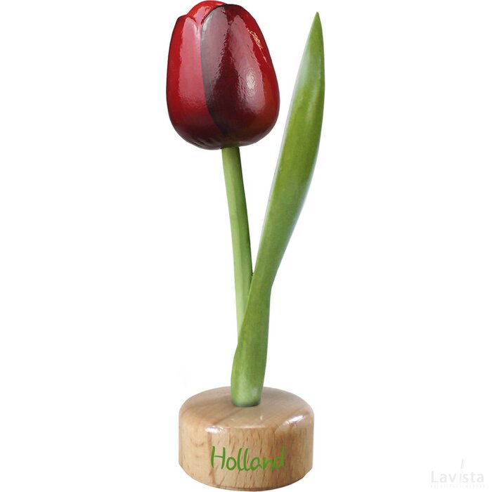 Tulip pedestal 20 cm ( big ), red aubergine Holland