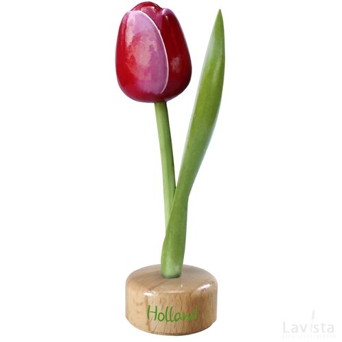 Tulip pedestal 20 cm ( big ), red white Holland