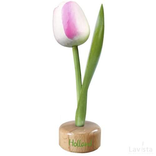 Tulip pedestal 20 cm ( big ), white pink Holland