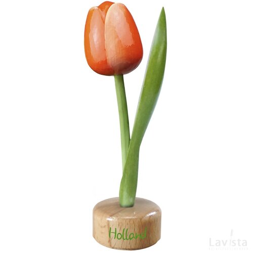 Tulip pedestal 20 cm ( big ), orange white Holland