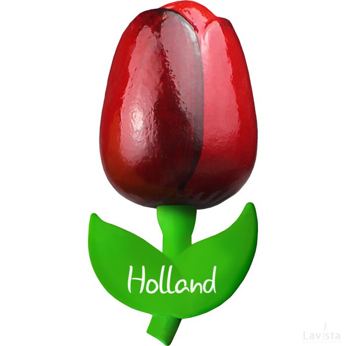 Tulip magnet 9 cm ( big ), red aubergine Holland