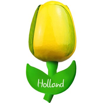 Geel