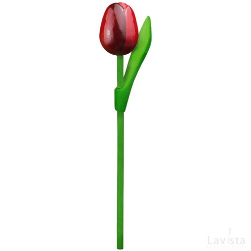Tulip on a stem 20 cm ( small ), red aubergine
