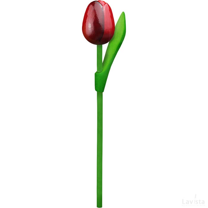 Tulip on a stem 20 cm ( small ), red aubergine