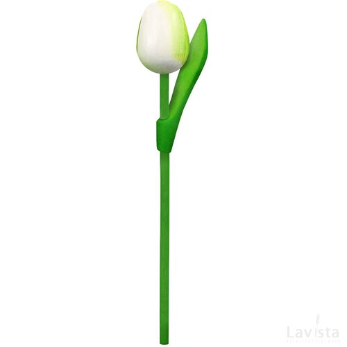 Tulip on a stem 20 cm ( small ), white green