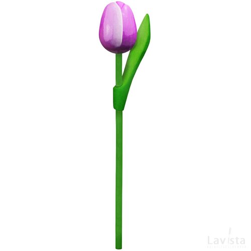 Tulip on a stem 20 cm ( small ), purple white