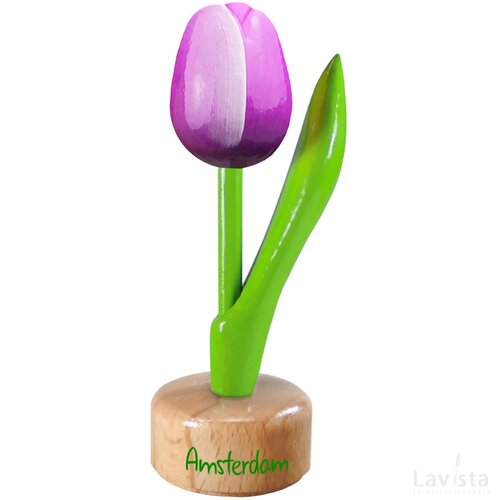 Tulip pedestal 8,5 cm ( small ), purple white Amsterdam