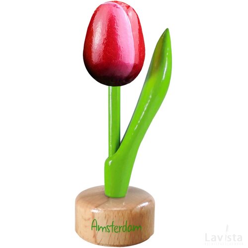 Tulip pedestal 8,5 cm ( small ), red white Amsterdam