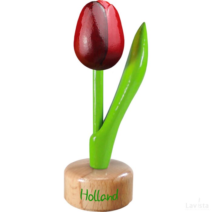 Tulip pedestal 8,5 cm ( small ), red aubergine Holland
