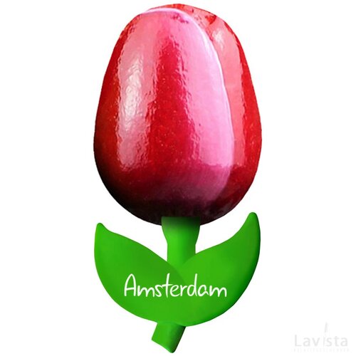 Tulip magnet 6 cm ( small ), red white Amsterdam