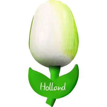 Tulip magnet 6 cm ( small ), white green Holland