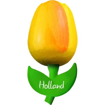 Geel