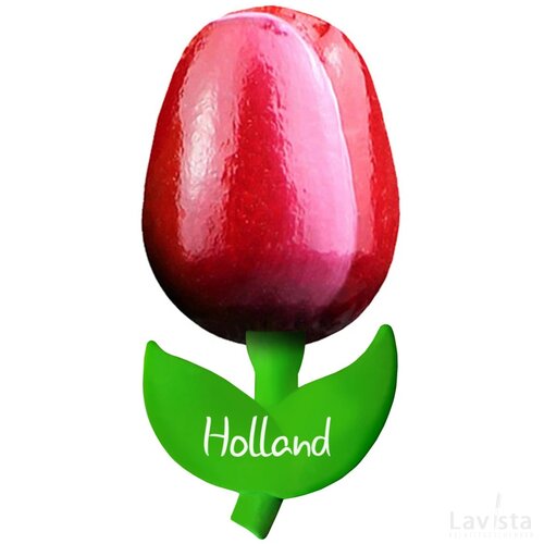 Tulip magnet 6 cm ( small ), red white Holland
