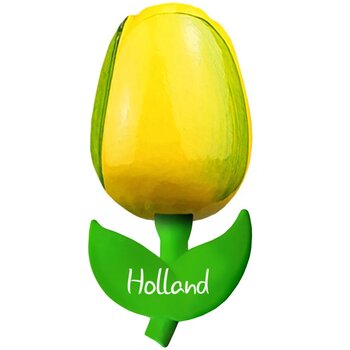 Geel