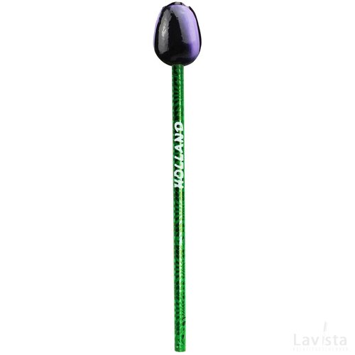 Tulip pencil 3,5 cm, aubergine white