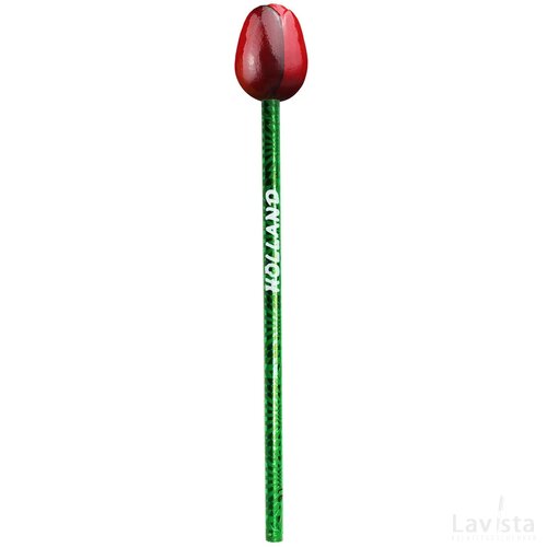 Tulip pencil 3,5 cm, red aubergine