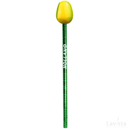 Tulip pencil 3,5 cm, yellow green