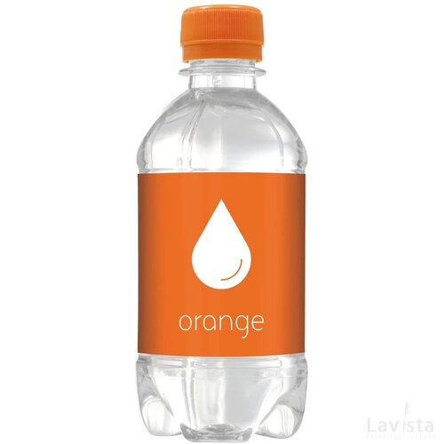 Bronwater 330 Ml Met Draaidop