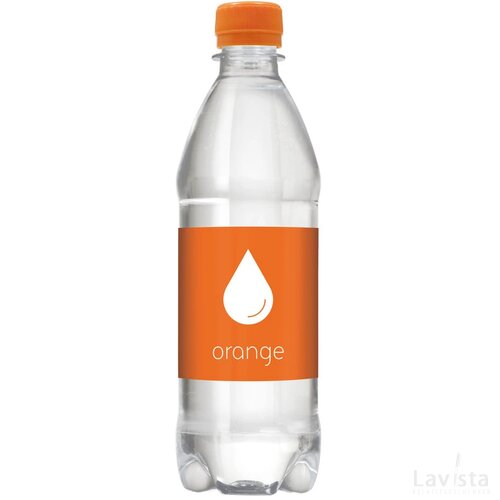 Bronwater 500 Ml Met Draaidop