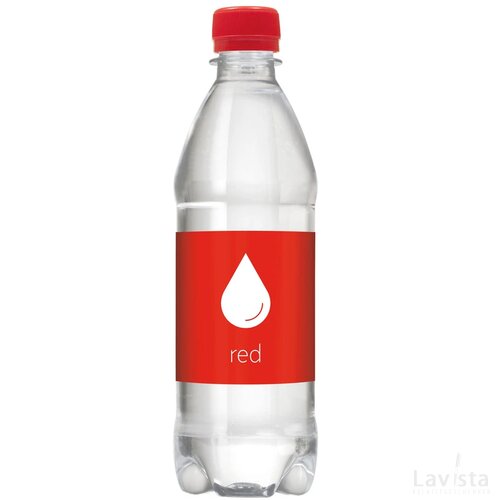 Bronwater 500 Ml Met Draaidop