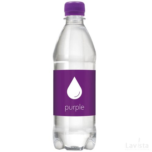 Bronwater 500 Ml Met Draaidop