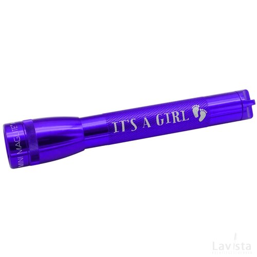 Mini Maglite 2-Cell AA Zaklamp paars
