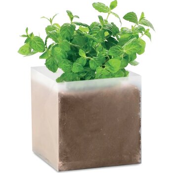 Compost met munt zaadjes Mint beige