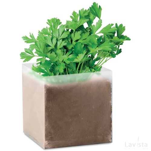 Compost met peterselie zaadjes Parsely beige